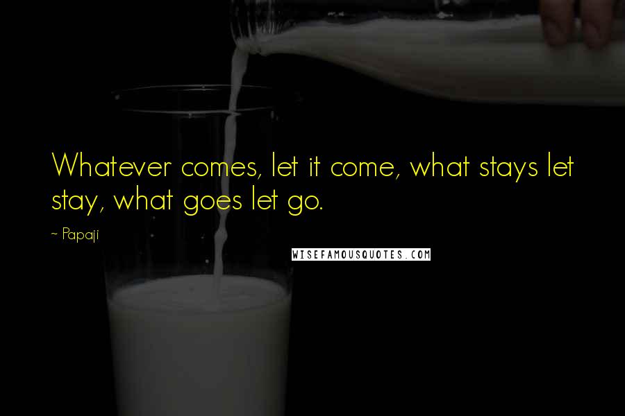 Papaji Quotes: Whatever comes, let it come, what stays let stay, what goes let go.