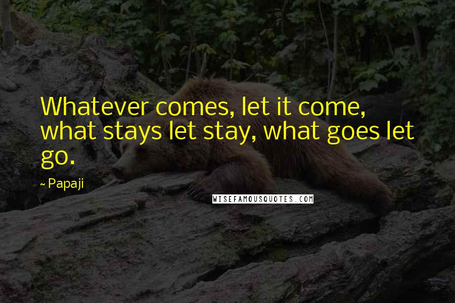 Papaji Quotes: Whatever comes, let it come, what stays let stay, what goes let go.