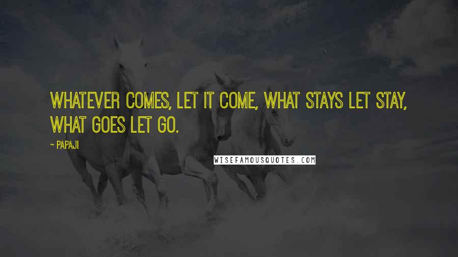 Papaji Quotes: Whatever comes, let it come, what stays let stay, what goes let go.