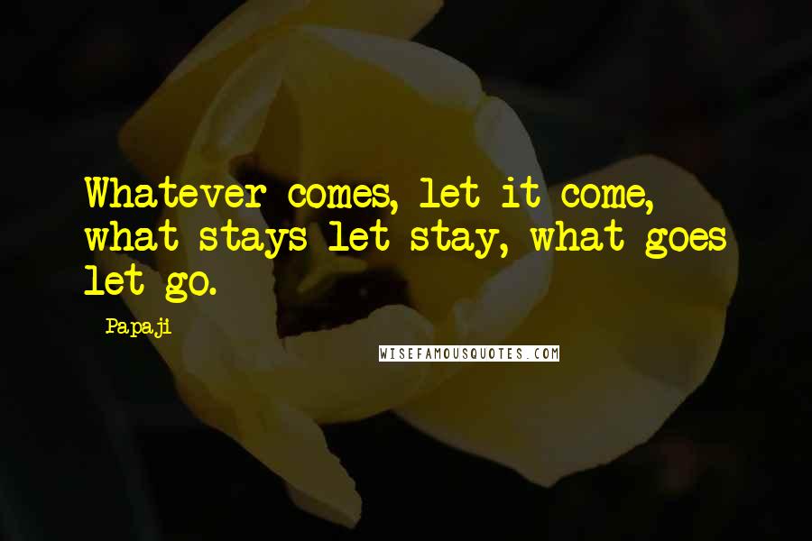 Papaji Quotes: Whatever comes, let it come, what stays let stay, what goes let go.