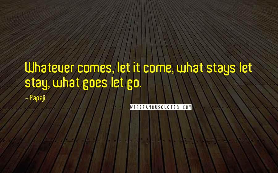 Papaji Quotes: Whatever comes, let it come, what stays let stay, what goes let go.