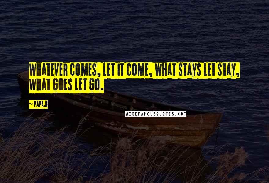 Papaji Quotes: Whatever comes, let it come, what stays let stay, what goes let go.