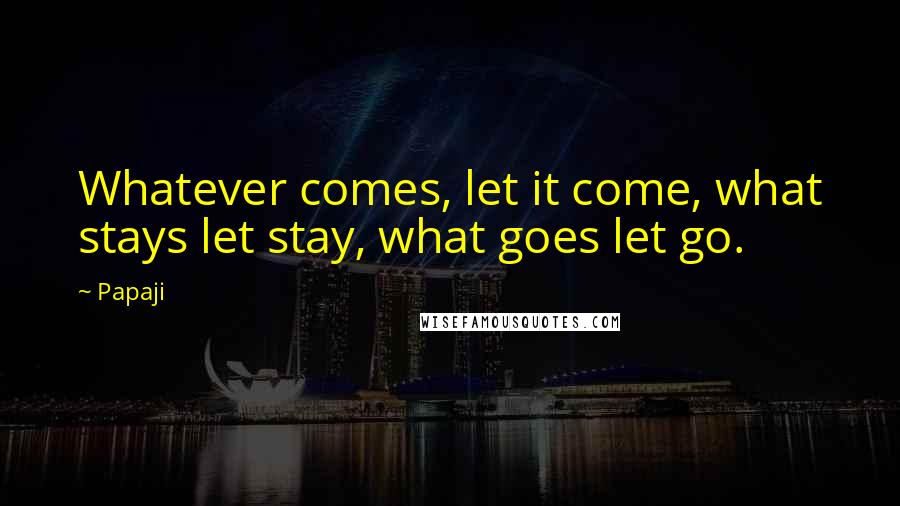 Papaji Quotes: Whatever comes, let it come, what stays let stay, what goes let go.