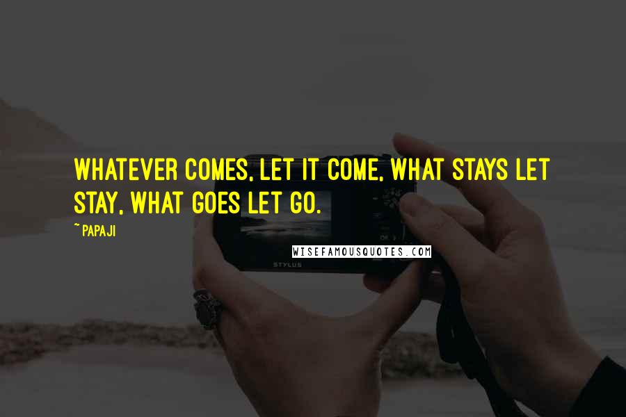 Papaji Quotes: Whatever comes, let it come, what stays let stay, what goes let go.