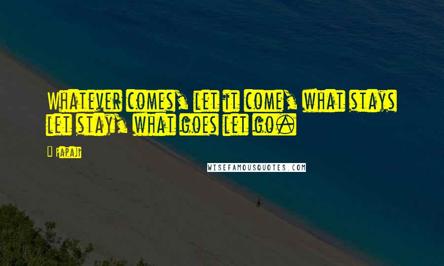 Papaji Quotes: Whatever comes, let it come, what stays let stay, what goes let go.