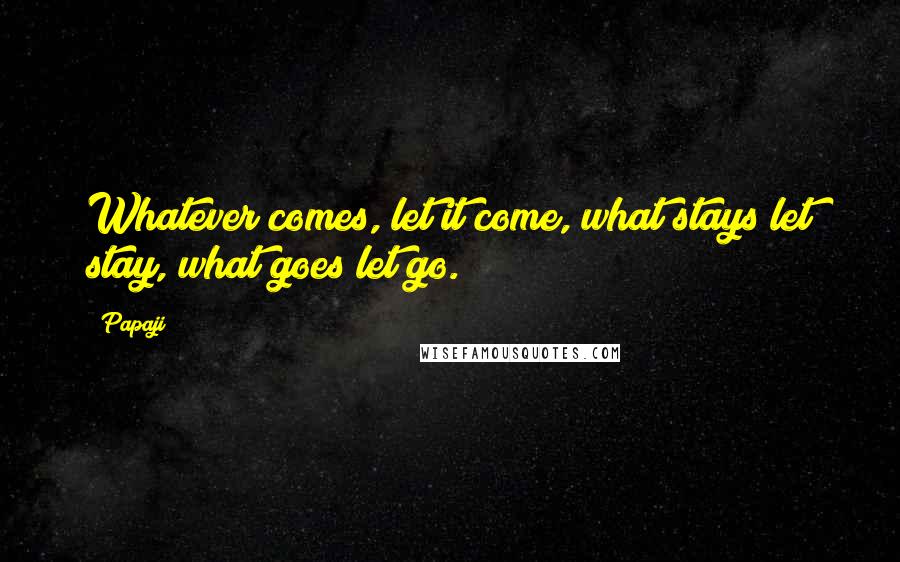 Papaji Quotes: Whatever comes, let it come, what stays let stay, what goes let go.