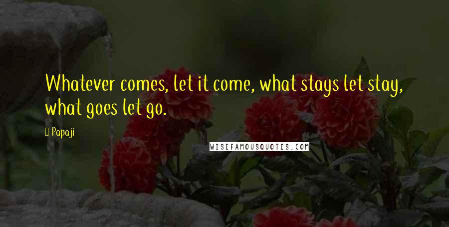 Papaji Quotes: Whatever comes, let it come, what stays let stay, what goes let go.