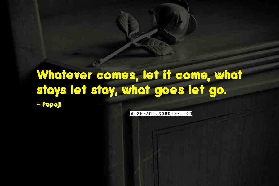 Papaji Quotes: Whatever comes, let it come, what stays let stay, what goes let go.