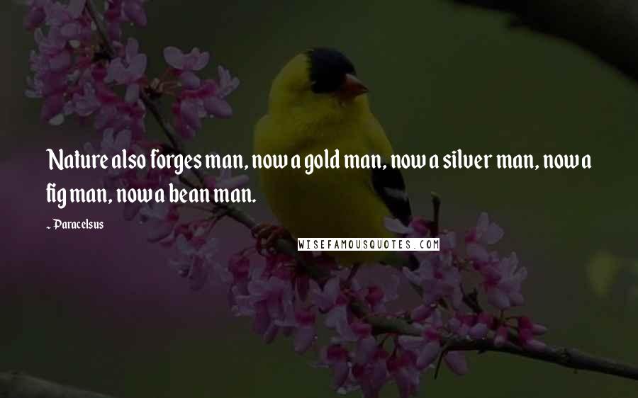 Paracelsus Quotes: Nature also forges man, now a gold man, now a silver man, now a fig man, now a bean man.