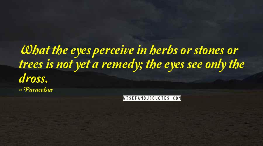 Paracelsus Quotes: What the eyes perceive in herbs or stones or trees is not yet a remedy; the eyes see only the dross.