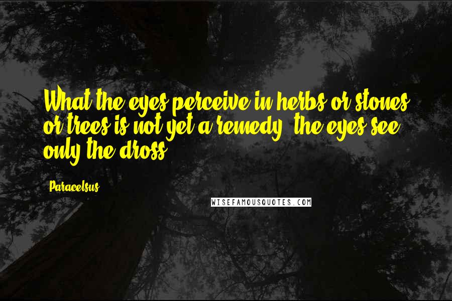 Paracelsus Quotes: What the eyes perceive in herbs or stones or trees is not yet a remedy; the eyes see only the dross.