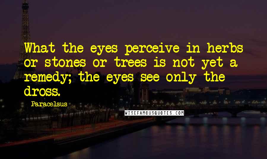 Paracelsus Quotes: What the eyes perceive in herbs or stones or trees is not yet a remedy; the eyes see only the dross.