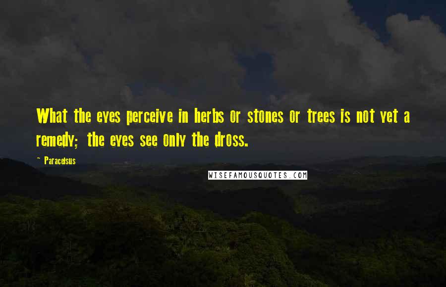 Paracelsus Quotes: What the eyes perceive in herbs or stones or trees is not yet a remedy; the eyes see only the dross.