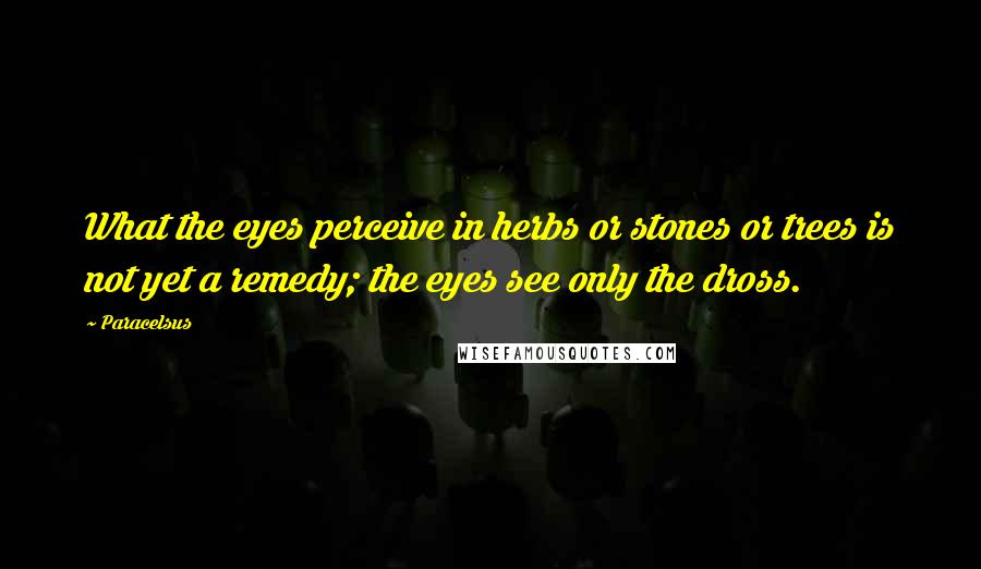 Paracelsus Quotes: What the eyes perceive in herbs or stones or trees is not yet a remedy; the eyes see only the dross.