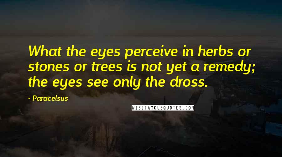 Paracelsus Quotes: What the eyes perceive in herbs or stones or trees is not yet a remedy; the eyes see only the dross.