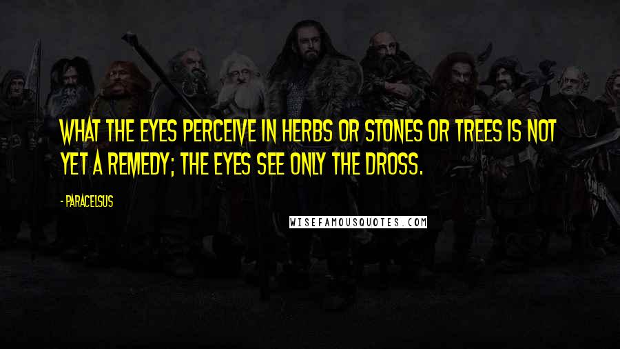Paracelsus Quotes: What the eyes perceive in herbs or stones or trees is not yet a remedy; the eyes see only the dross.