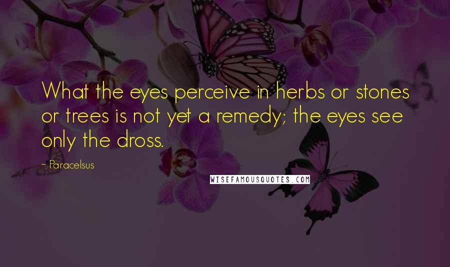 Paracelsus Quotes: What the eyes perceive in herbs or stones or trees is not yet a remedy; the eyes see only the dross.