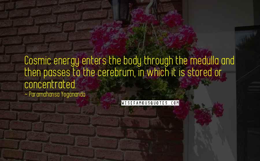 Paramahansa Yogananda Quotes: Cosmic energy enters the body through the medulla and then passes to the cerebrum, in which it is stored or concentrated.