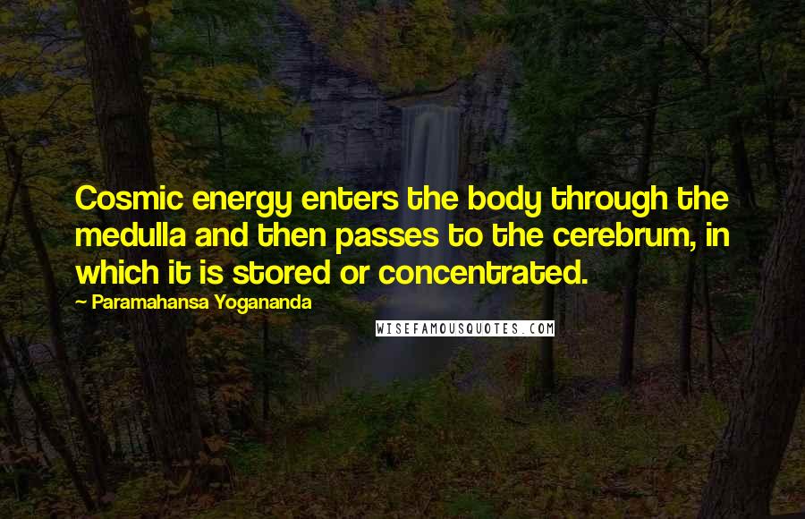Paramahansa Yogananda Quotes: Cosmic energy enters the body through the medulla and then passes to the cerebrum, in which it is stored or concentrated.
