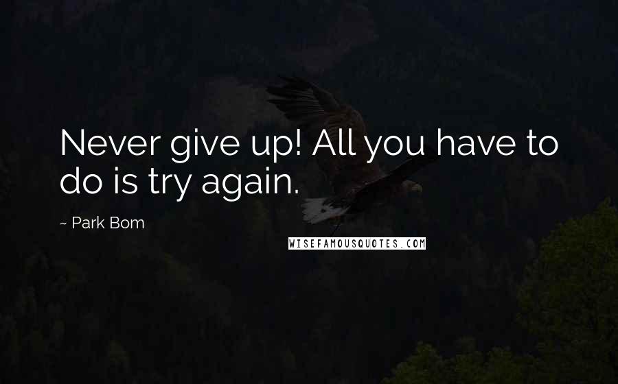 Park Bom Quotes: Never give up! All you have to do is try again.