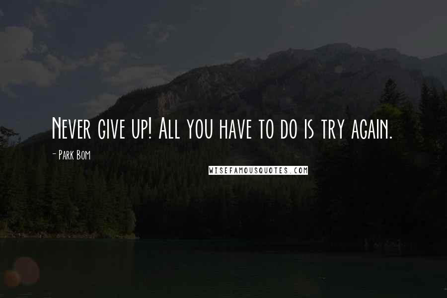 Park Bom Quotes: Never give up! All you have to do is try again.