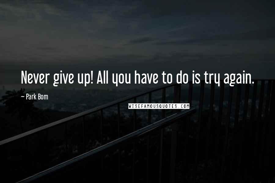 Park Bom Quotes: Never give up! All you have to do is try again.