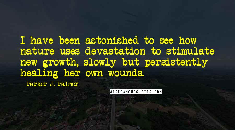 Parker J. Palmer Quotes: I have been astonished to see how nature uses devastation to stimulate new growth, slowly but persistently healing her own wounds.