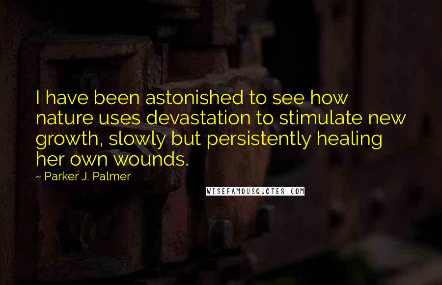 Parker J. Palmer Quotes: I have been astonished to see how nature uses devastation to stimulate new growth, slowly but persistently healing her own wounds.