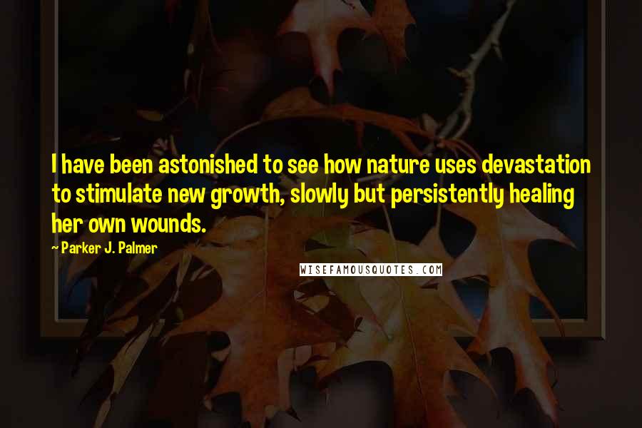 Parker J. Palmer Quotes: I have been astonished to see how nature uses devastation to stimulate new growth, slowly but persistently healing her own wounds.