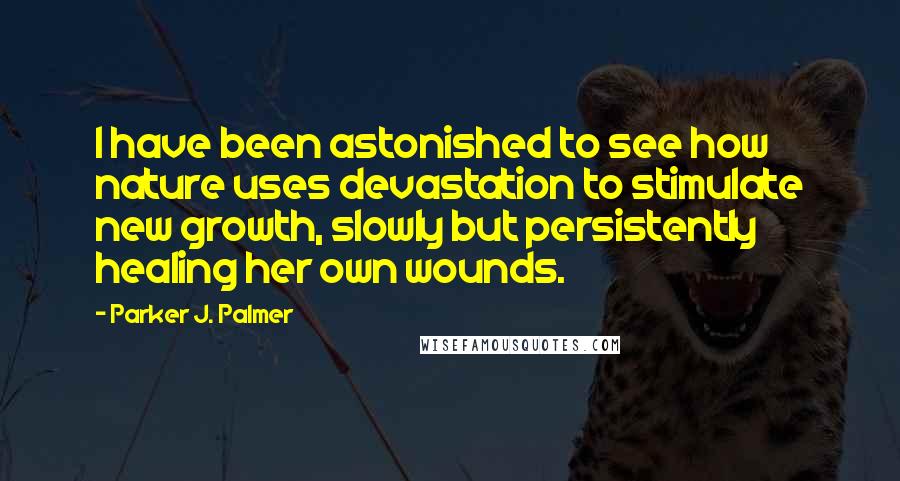 Parker J. Palmer Quotes: I have been astonished to see how nature uses devastation to stimulate new growth, slowly but persistently healing her own wounds.