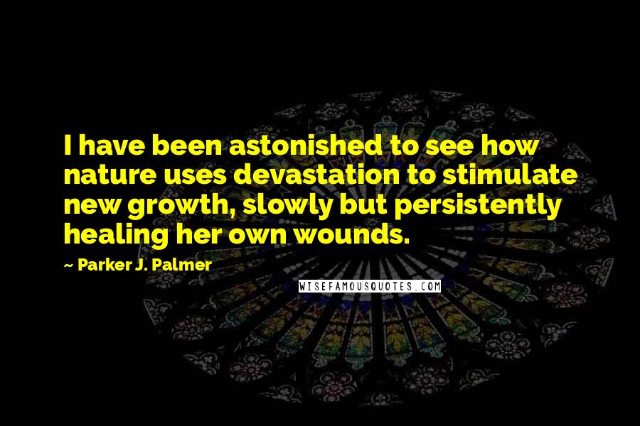 Parker J. Palmer Quotes: I have been astonished to see how nature uses devastation to stimulate new growth, slowly but persistently healing her own wounds.