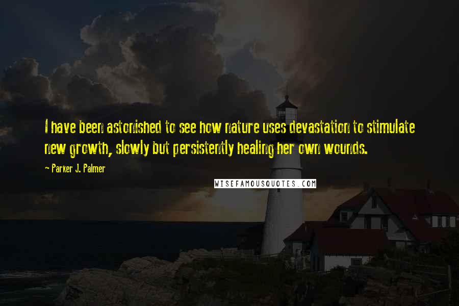 Parker J. Palmer Quotes: I have been astonished to see how nature uses devastation to stimulate new growth, slowly but persistently healing her own wounds.