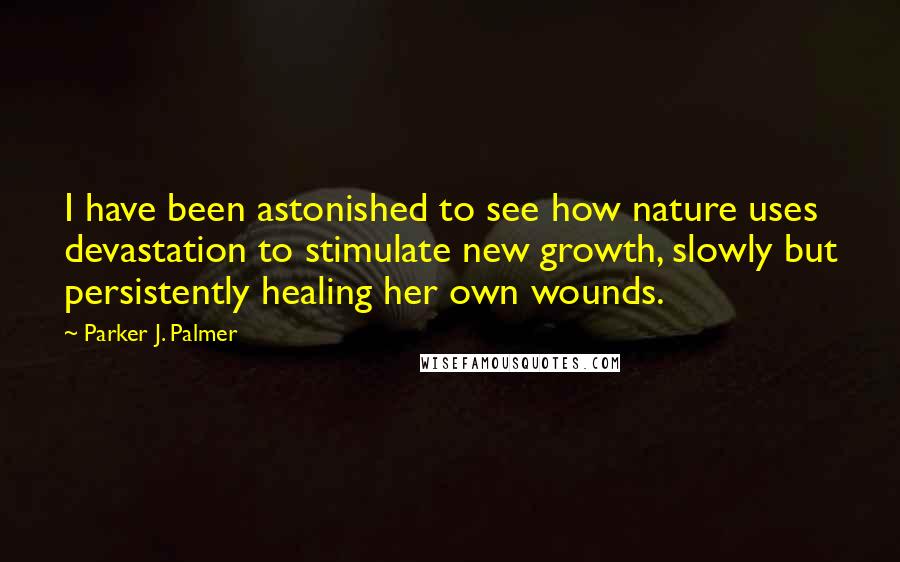 Parker J. Palmer Quotes: I have been astonished to see how nature uses devastation to stimulate new growth, slowly but persistently healing her own wounds.