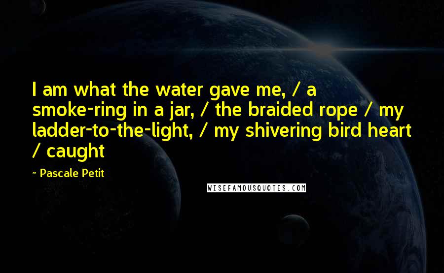 Pascale Petit Quotes: I am what the water gave me, / a smoke-ring in a jar, / the braided rope / my ladder-to-the-light, / my shivering bird heart / caught