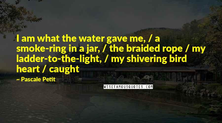 Pascale Petit Quotes: I am what the water gave me, / a smoke-ring in a jar, / the braided rope / my ladder-to-the-light, / my shivering bird heart / caught