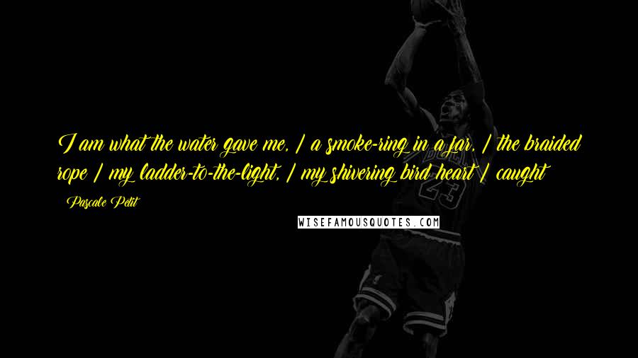 Pascale Petit Quotes: I am what the water gave me, / a smoke-ring in a jar, / the braided rope / my ladder-to-the-light, / my shivering bird heart / caught