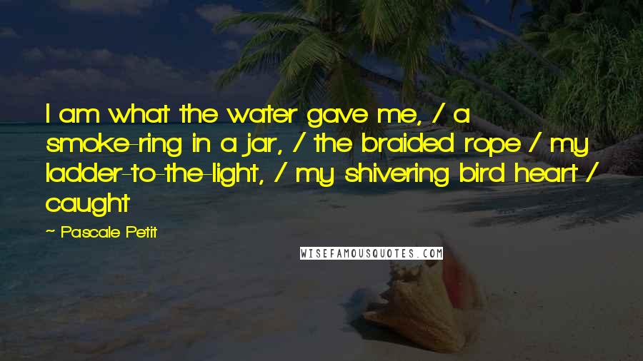 Pascale Petit Quotes: I am what the water gave me, / a smoke-ring in a jar, / the braided rope / my ladder-to-the-light, / my shivering bird heart / caught