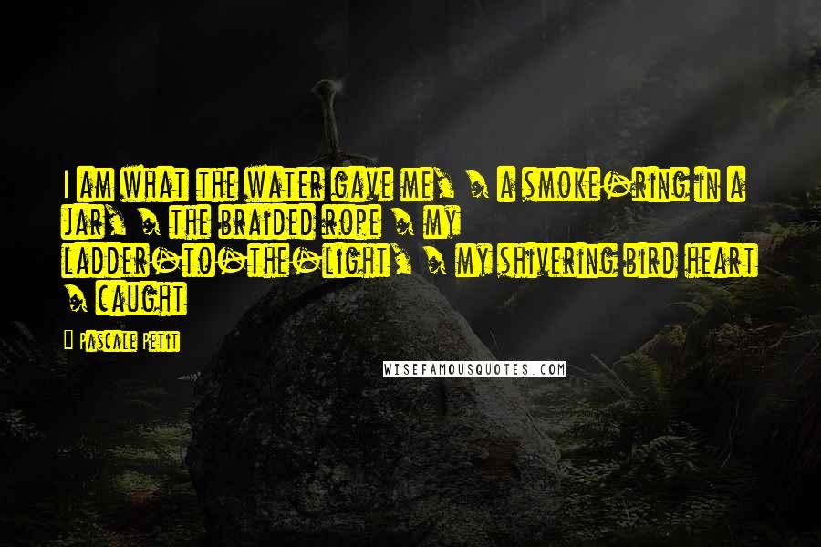 Pascale Petit Quotes: I am what the water gave me, / a smoke-ring in a jar, / the braided rope / my ladder-to-the-light, / my shivering bird heart / caught