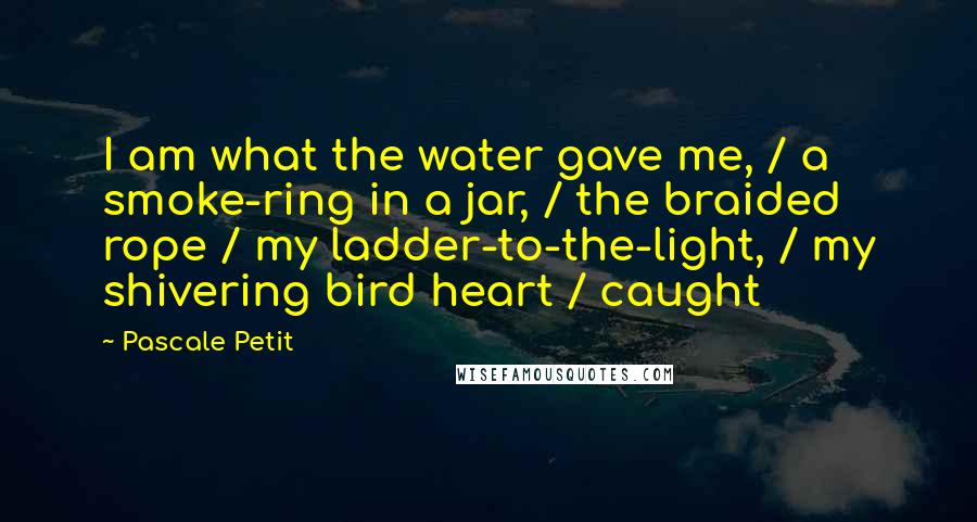 Pascale Petit Quotes: I am what the water gave me, / a smoke-ring in a jar, / the braided rope / my ladder-to-the-light, / my shivering bird heart / caught