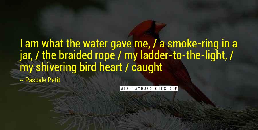 Pascale Petit Quotes: I am what the water gave me, / a smoke-ring in a jar, / the braided rope / my ladder-to-the-light, / my shivering bird heart / caught