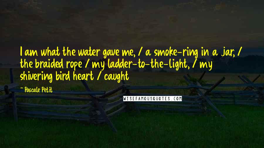 Pascale Petit Quotes: I am what the water gave me, / a smoke-ring in a jar, / the braided rope / my ladder-to-the-light, / my shivering bird heart / caught