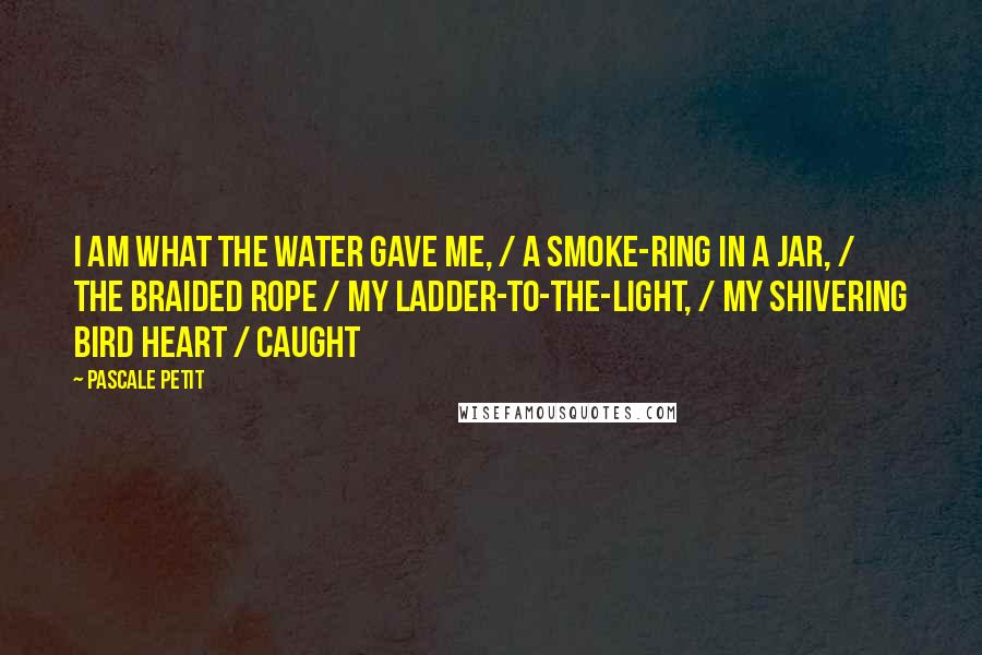 Pascale Petit Quotes: I am what the water gave me, / a smoke-ring in a jar, / the braided rope / my ladder-to-the-light, / my shivering bird heart / caught