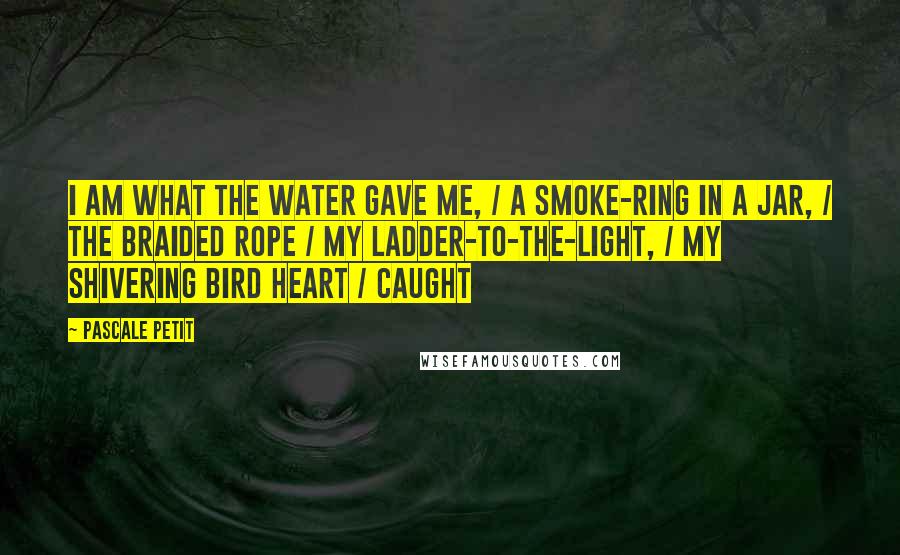 Pascale Petit Quotes: I am what the water gave me, / a smoke-ring in a jar, / the braided rope / my ladder-to-the-light, / my shivering bird heart / caught