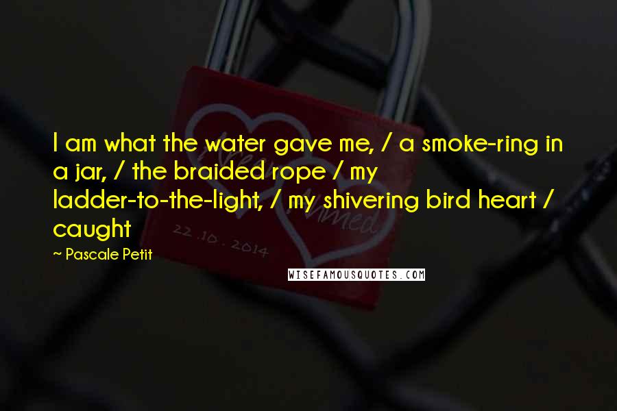 Pascale Petit Quotes: I am what the water gave me, / a smoke-ring in a jar, / the braided rope / my ladder-to-the-light, / my shivering bird heart / caught