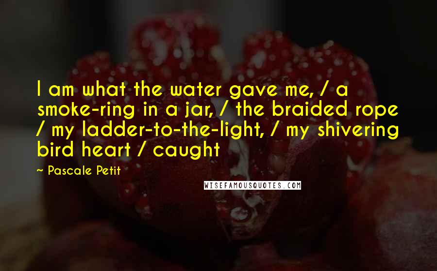 Pascale Petit Quotes: I am what the water gave me, / a smoke-ring in a jar, / the braided rope / my ladder-to-the-light, / my shivering bird heart / caught