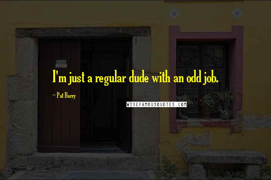Pat Barry Quotes: I'm just a regular dude with an odd job.