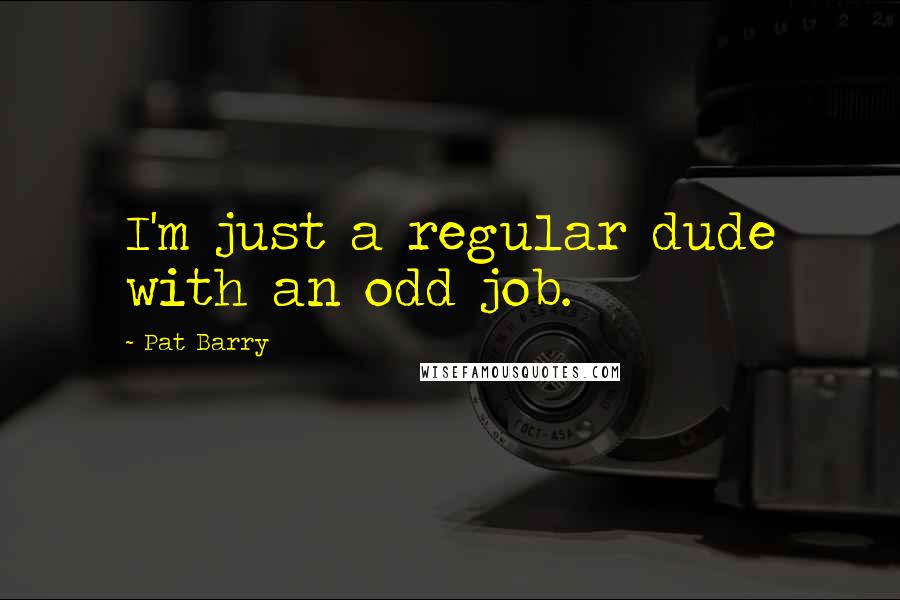 Pat Barry Quotes: I'm just a regular dude with an odd job.