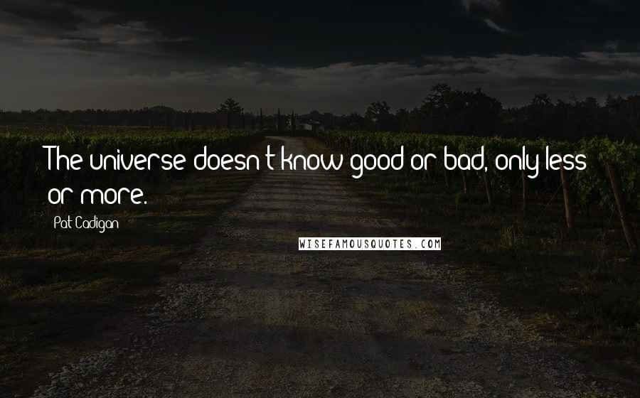 Pat Cadigan Quotes: The universe doesn't know good or bad, only less or more.