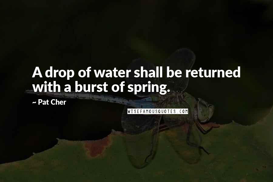 Pat Cher Quotes: A drop of water shall be returned with a burst of spring.