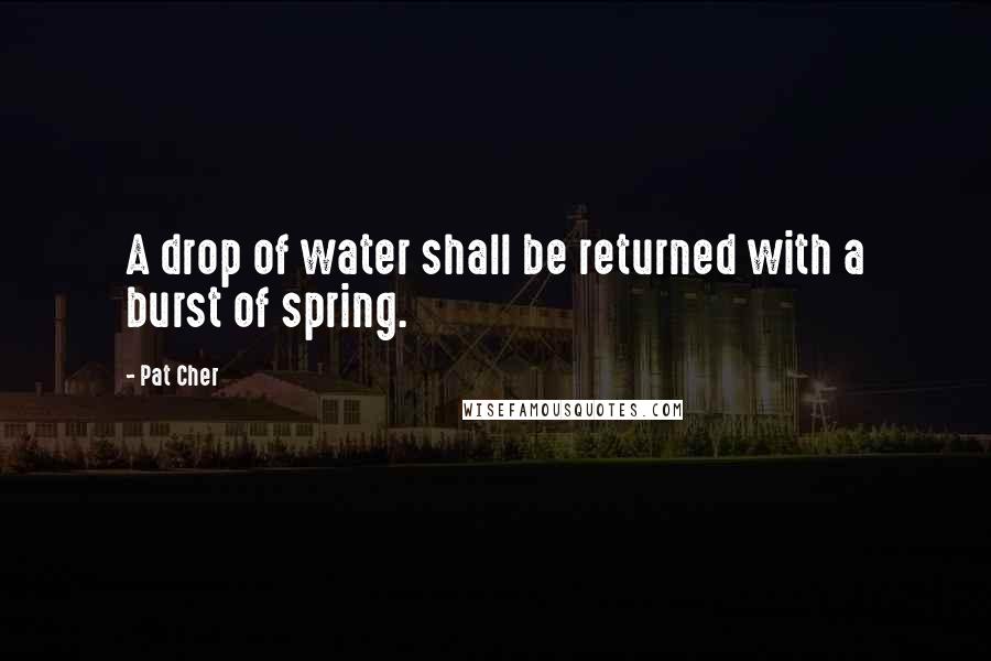 Pat Cher Quotes: A drop of water shall be returned with a burst of spring.